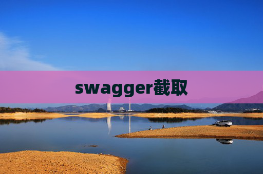 swagger截取